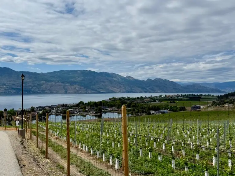 West Kelowna, with Okanagan Lake, in the distance is Green Bay Road, with a home financed by The HomeHappy Team @ Canadian Mortgage Experts